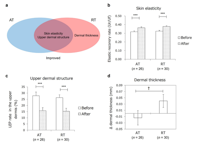 图2：有氧训练和抗阻训练对皮肤老化参数的影响
