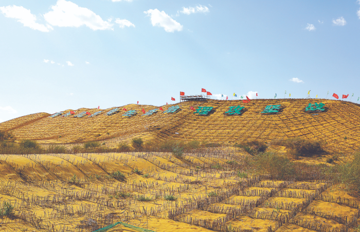 鄂尔多斯三北工程治理现场（来源：中国绿色时报）