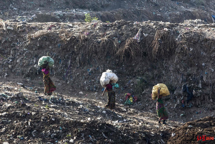 ▲“拾荒匠”穿梭在垃圾之间