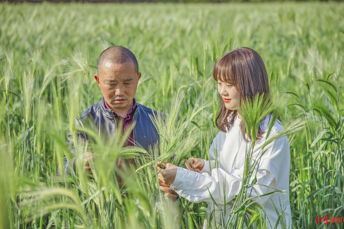 ▲王伶俐和父亲