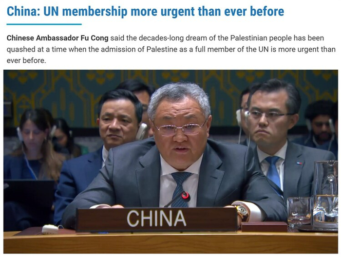 中国常驻联合国代表傅聪在表决后的解释性发言中说:"由于美国的否决
