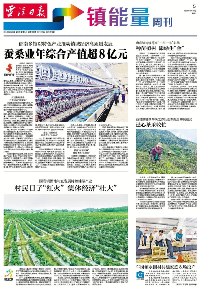 △4月24日《云浮日报》第5版截图