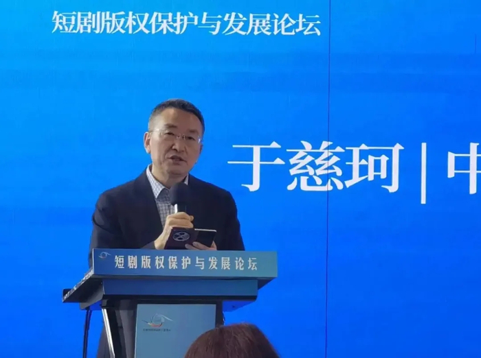 中国版权协会常务副理事长于慈珂