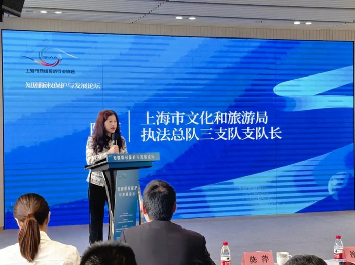 上海市文化和旅游局执法总队三支队支队长陈萍