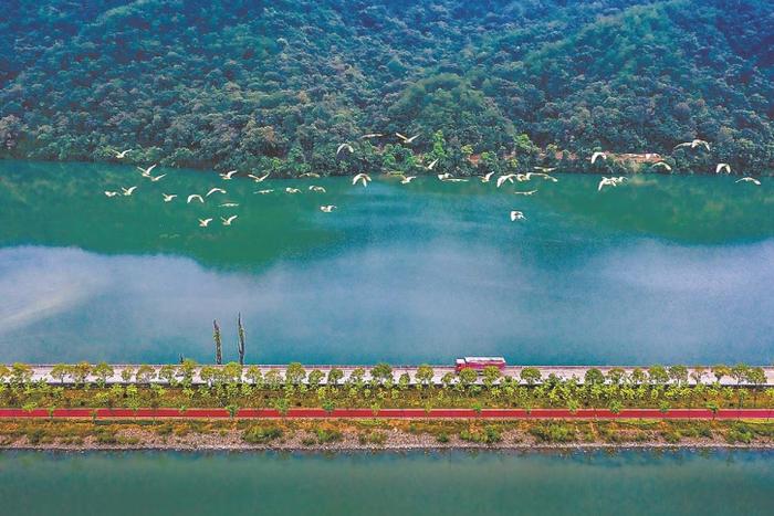 将乐县高塘镇常口村在青山绿水间修建起森林康养步道。 （资料图片）