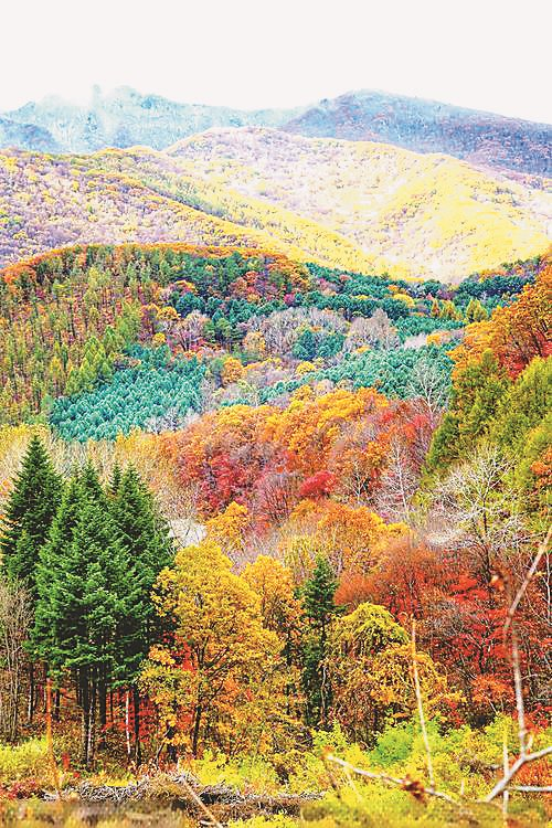     兴安唯美山色。