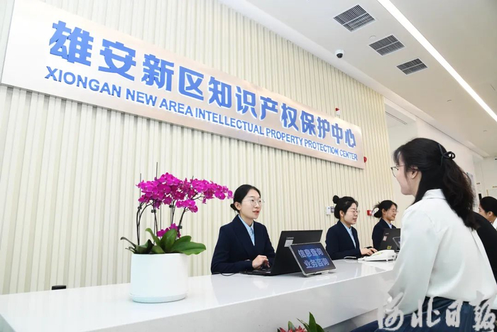 4月18日上午，雄安新区知识产权保护中心咨询柜台前，工作人员为企业办事人员解答问题。赵荣昊摄