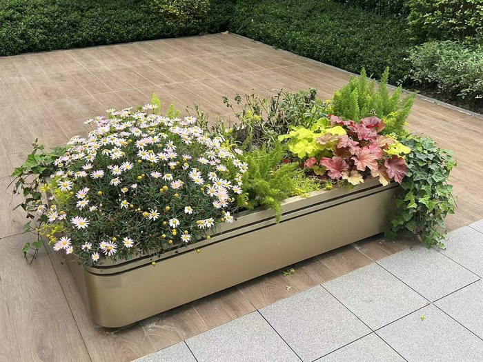 小区内的新增花景，封面新闻记者4月22日拍摄