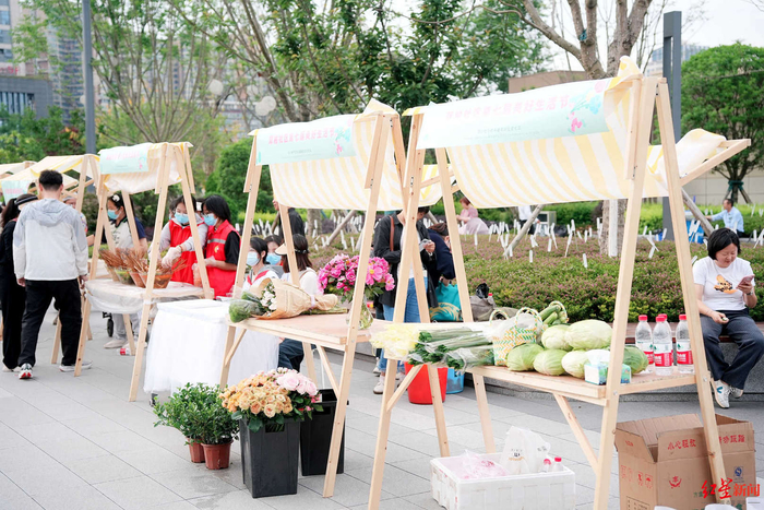 ▲双柏社区第七届“美好生活节”