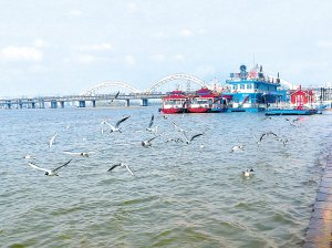 　　戏水。“哈报手机记者”史敏捷摄