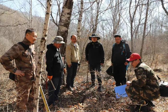 　赤峰市林草种质资源普查队发现两种内蒙古新纪录植物。