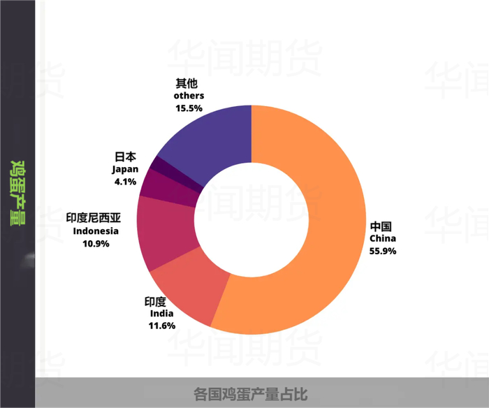 数据来源：Chickenfans