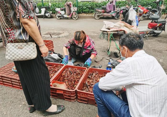 习近平总书记在深度贫困地区脱贫攻坚座谈会上的重要讲话引起强烈反响