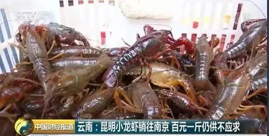 央视财经2019年报谈