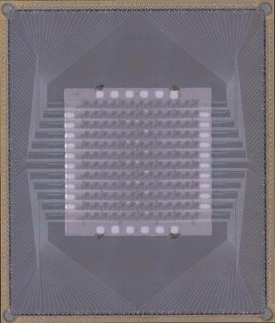 这是包含156个比特可调耦合架构的超导量子芯片。新华社发（受访者供图）