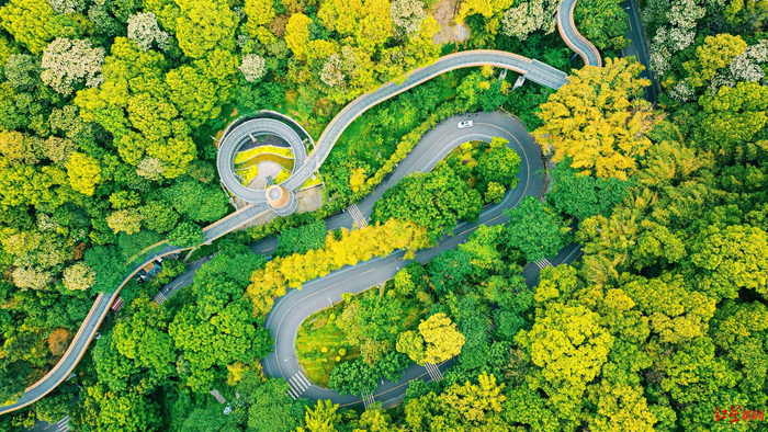 ▲航拍翠屏山 “曾好看”摄