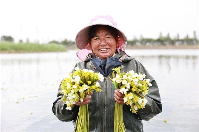 杜珍护正在采摘海菜