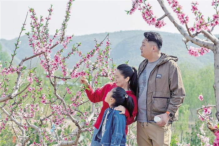 游客在蒋福山赏花踏青。本报记者 王洋洋 摄