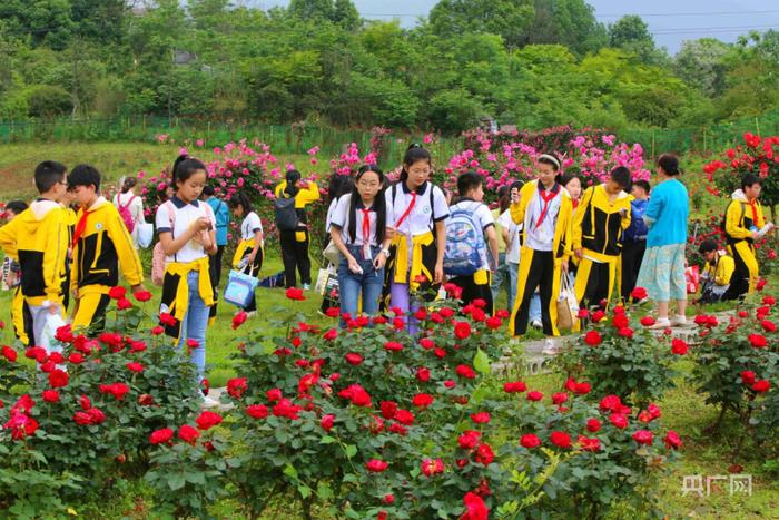 游客来到金甲玫瑰园赏花游玩，享受美好春光（央广网发 谢春梅 摄）
