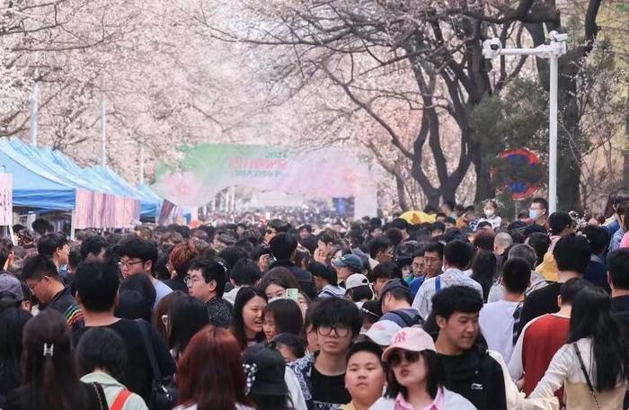 4月21日，吉林大学第九届杏花文化节上游人如织。新华社发