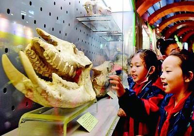 河南省郑州市郑东新区春华学校的小学生在河南自然博物馆参加研学活动。新华社发