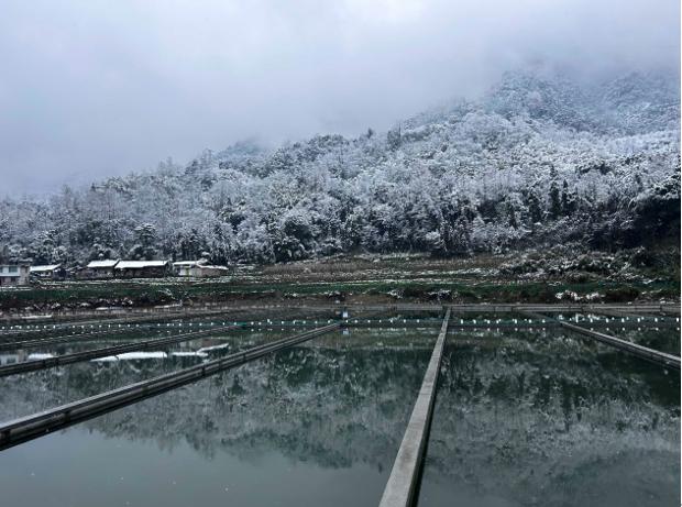 芙思塔天全基地冬季雪景