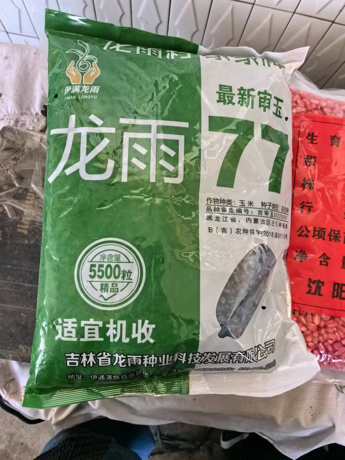村民购买的“龙雨77”