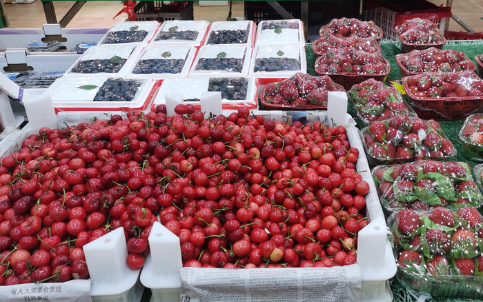 樱桃。 新京报记者 刘欢 摄