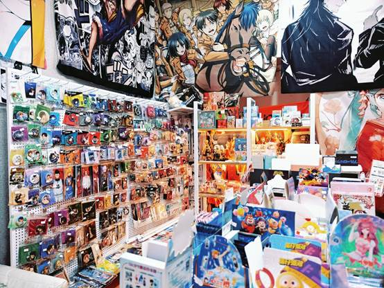 ▲在相关需求的推动下，不少县城也出现了线下“谷子”店。 图源：网络