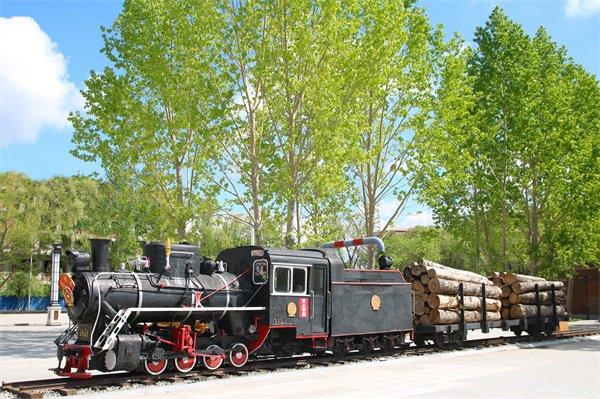 桦南林业局有限公司森林窄轨蒸汽小火车。