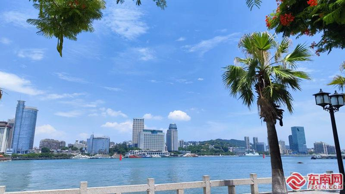 厦门风光旖旎。 东南网记者 黄丽红 摄