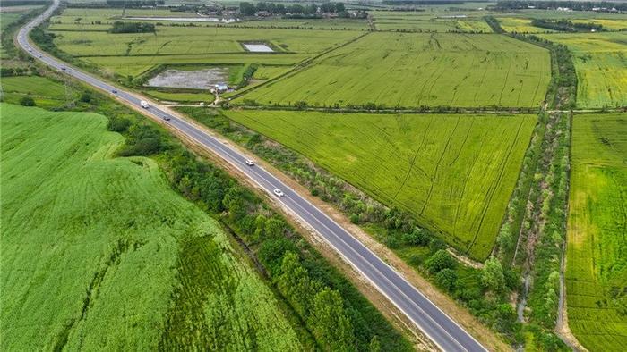 梁庄村高标准农田披上“绿色新装”。 人民网记者 苗子健摄