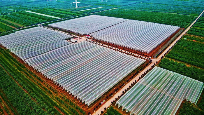 北景乡现代苹果产业示范基地