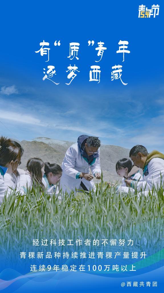 海报 ｜ 有“质”青年 逐梦西藏