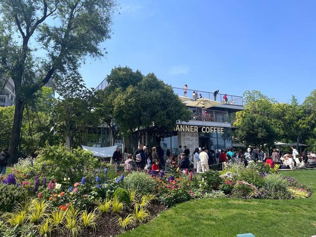 第二届西岸国际咖啡生活节现场 舒抒 摄