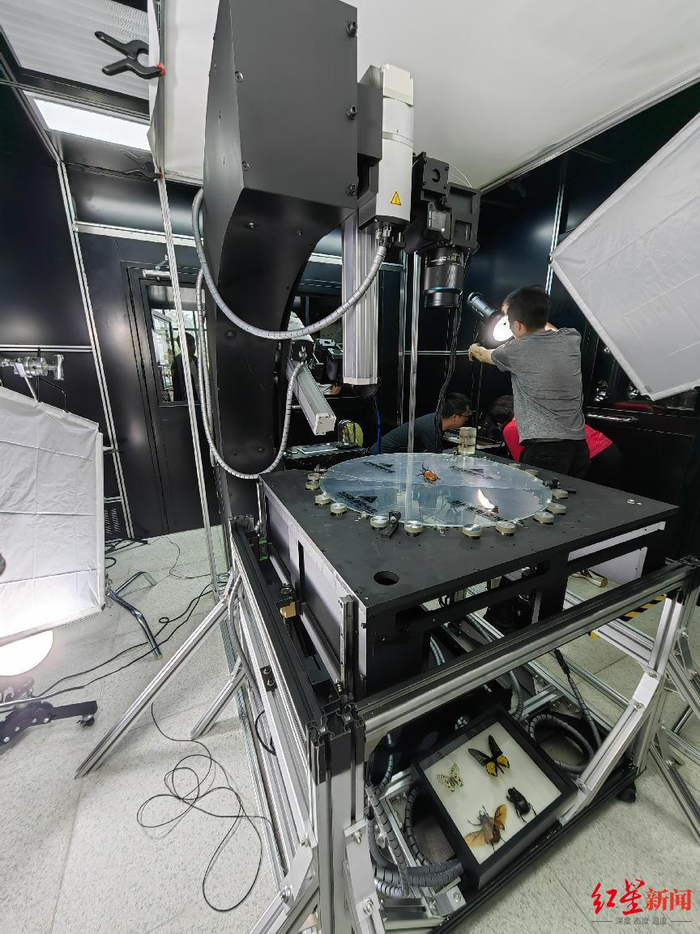 ▲昆虫标本扫描实验室