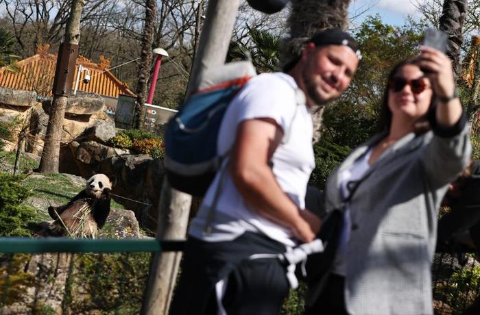   3月22日，在法国圣艾尼昂的博瓦勒野生动物园，游客与大熊猫“欢欢”自拍留念。新华社记者高静摄