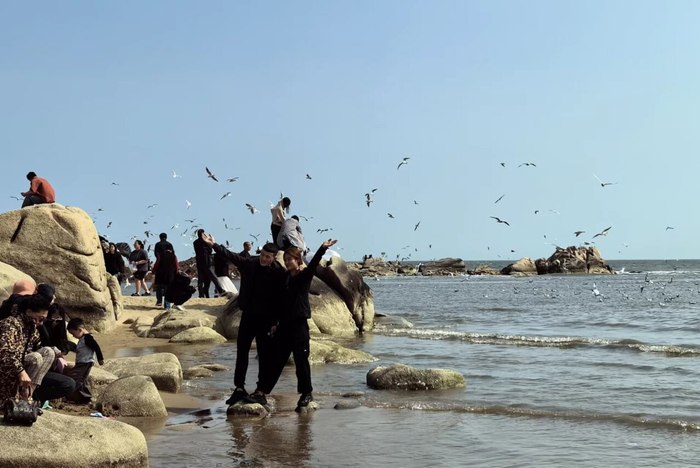 4月28日，秦皇岛市北戴河老虎石公园，游客在海滩与海鸥互动。  河北日报记者 张辉摄