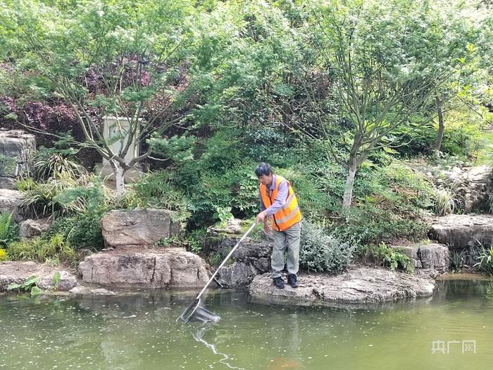 工作人员正在清理水面垃圾（央广网记者 昌思荣 摄）