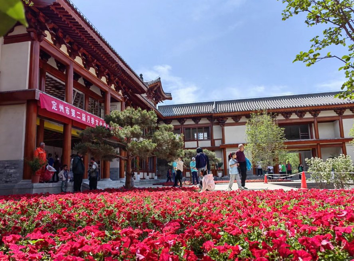 　　图为游客在众春园观赏月季。通讯员白永民摄