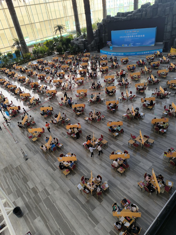 本次比赛由中国桥牌协会,石家庄市人民政府共同主办,河北省体育局