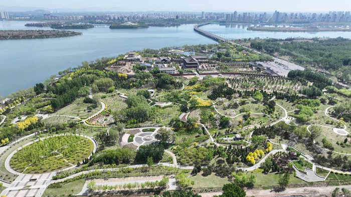 右岸新城内美丽的佛山公园。陈儒摄