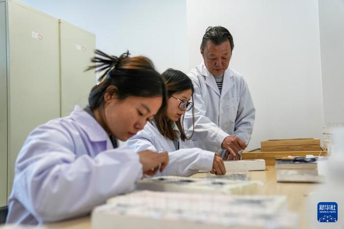   在位于拉萨的西藏自治区高原生物研究所，达娃（右）辅导学生制作标本（4月22日摄）。新华社记者 旦增尼玛曲珠 摄