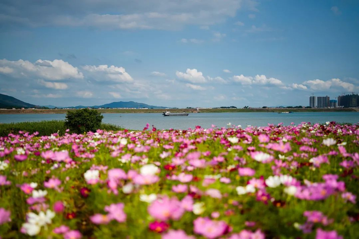 △江滨公园。廖文奕 摄