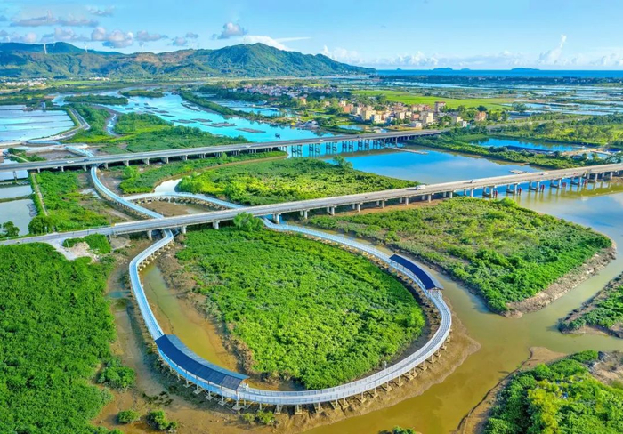 寿长河红树林国家湿地公园。李向东 摄