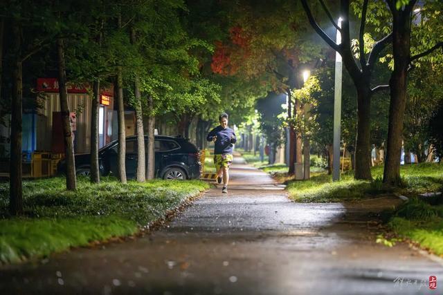 世纪公园24小时开放：夜跑族喜欢，凌晨还有人散步