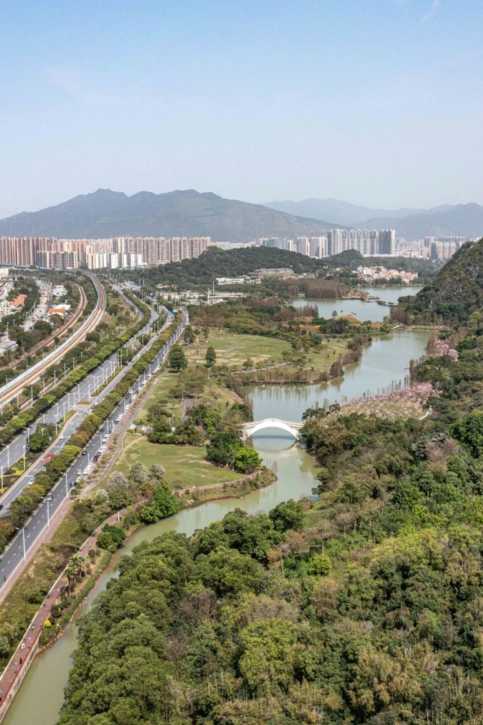 △肇庆大道。廖文奕 摄