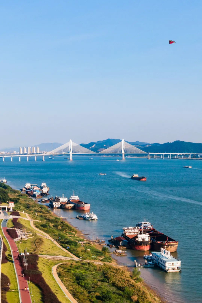 △肇庆市融媒体中心记者 吴勇强 摄