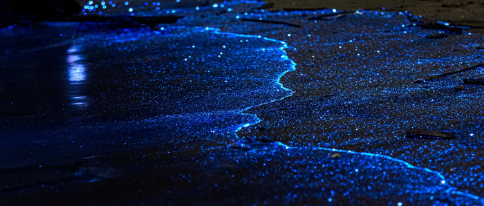 △福建平潭。图源：视觉中国