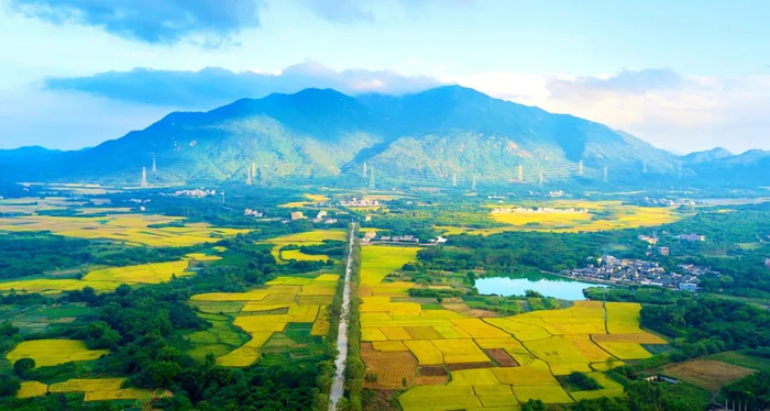 图源：阳江旅游